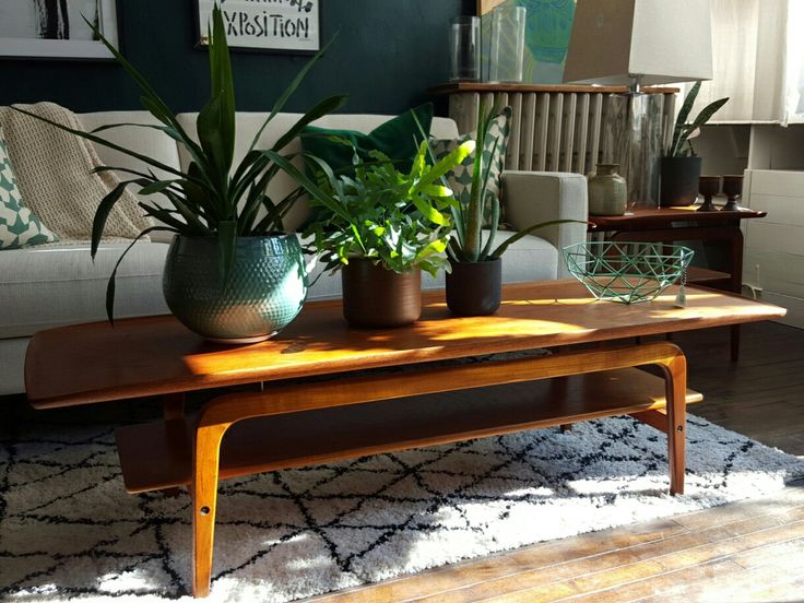 a living room filled with furniture and plants on top of a wooden table in front of a window