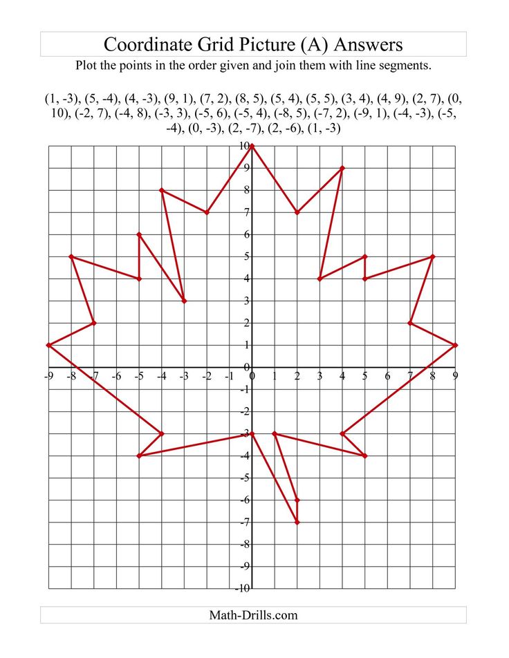 a graph paper with a red maple leaf drawn on the coordinate line, and an image of