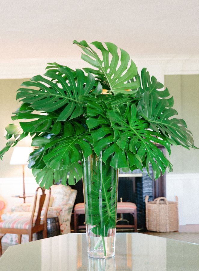 a large green plant in a glass vase on a table with other furniture and decor