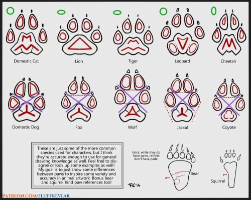 how to draw an animal paw chart for kids and adults with step by step instructions