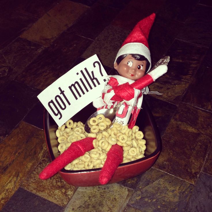 an elf is sitting in a bowl of cereal and holding a sign that says got milk?