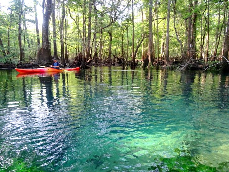 two people are kayaking down the river in their canoes, surrounded by trees