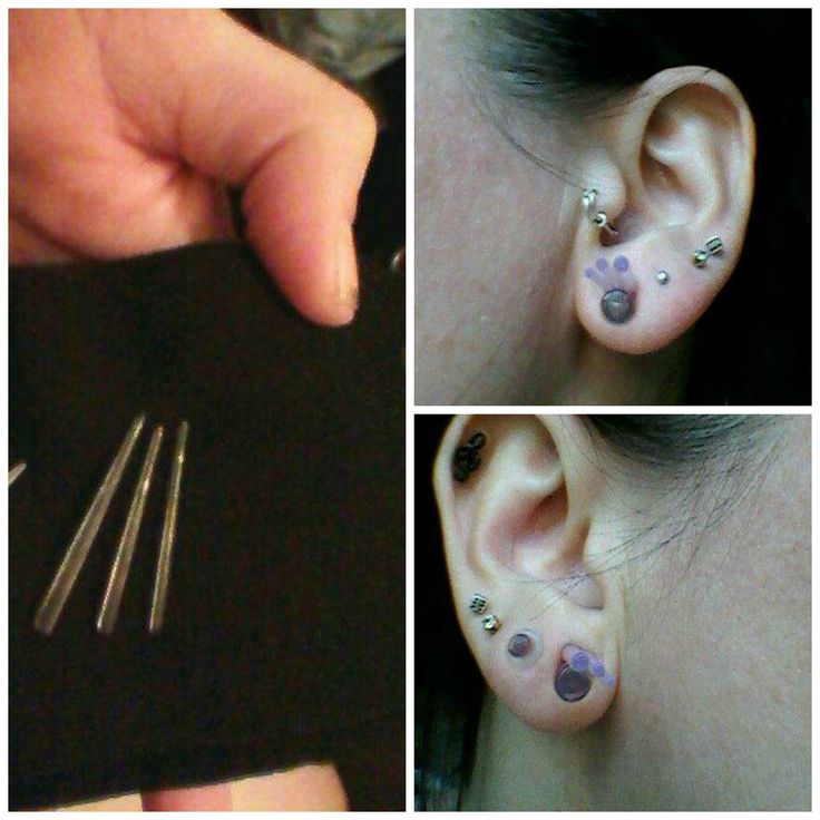 there are three different pictures of ear piercings