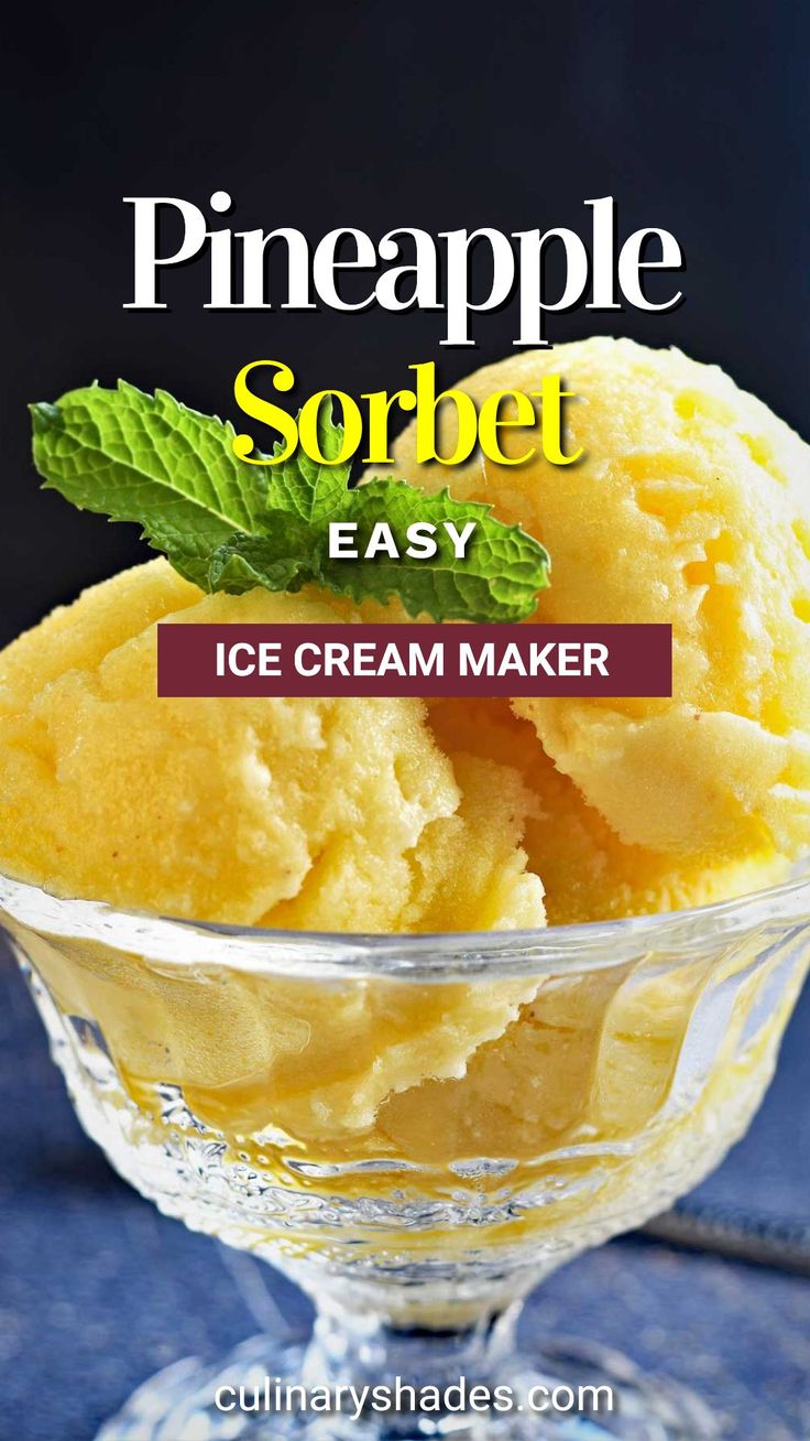 an ice cream maker with pineapple sorbet in the background and text overlay