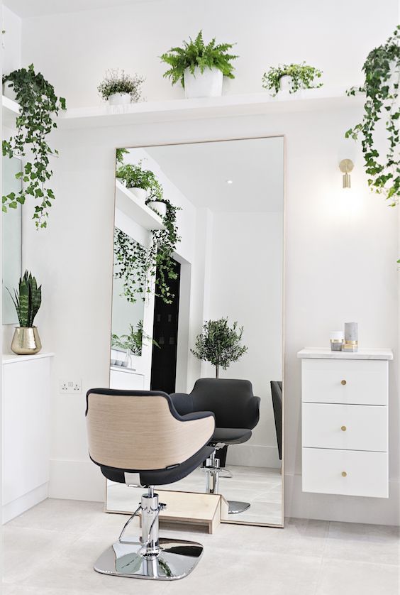 a salon chair sitting in front of a mirror with potted plants on the wall