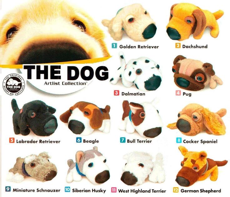 the dog stuffed animal collection is shown in an advertisement for toys and other animals, including dogs