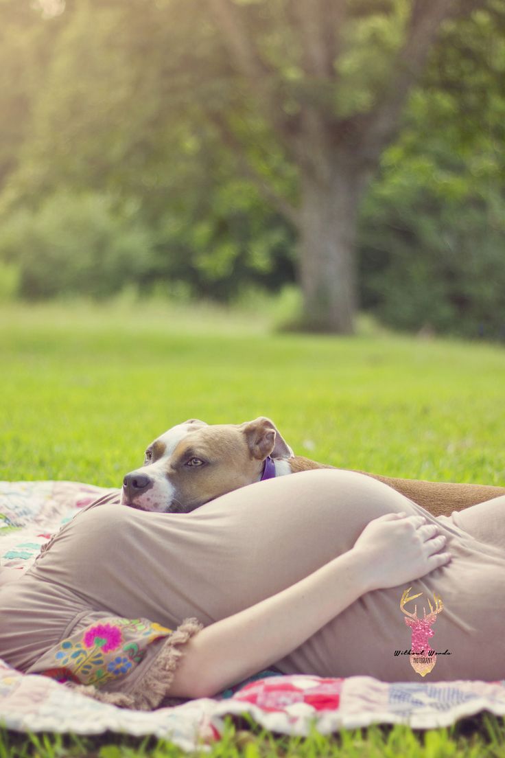 a pregnant woman laying on top of a blanket with her dog