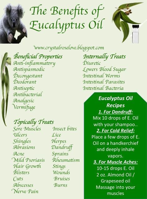 ∆ Eucalyptus Oil...The Benefits of Eucalyptus Oil Good for congestion due to flu or cold.  Have seen caution in relation to kids.......do not use if under 2 years old, do not put near child's nose or mouth......for anyone, too large of a dose can be toxic.    Otherwise, the beneficial uses are very interesting.  www,fb.com/HealingLotusAromatherapy Benefits Of Eucalyptus, Oil For Skin, Oil Remedies, Essential Oils Health, Yl Essential Oils, Patchouli Essential Oil, Essential Oil Benefits, Young Living Oils, Eucalyptus Oil