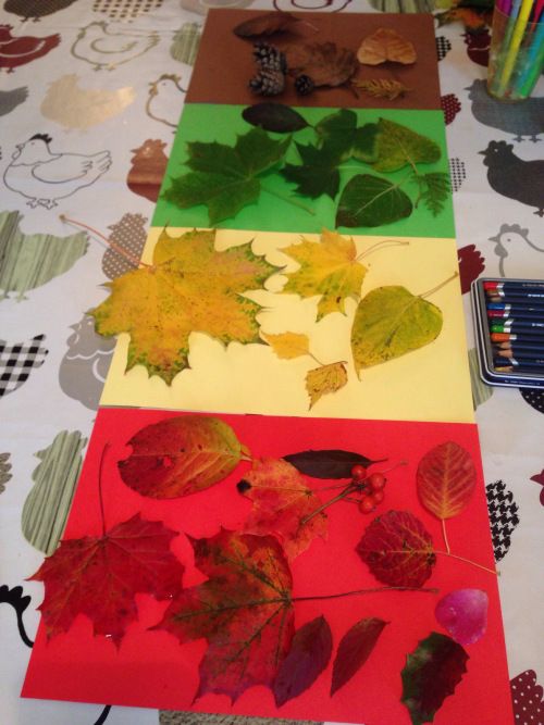 four different colors of leaves on a table with colored pencils and crayons