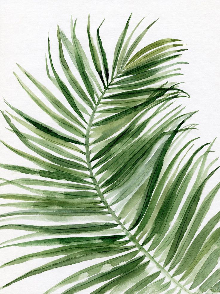 watercolor painting of green palm leaves on white paper