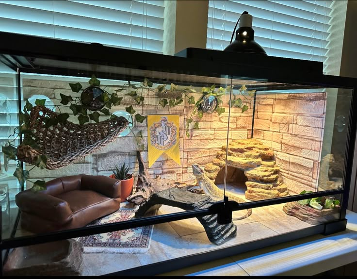 a fish tank filled with lots of different types of food and plants on top of a table