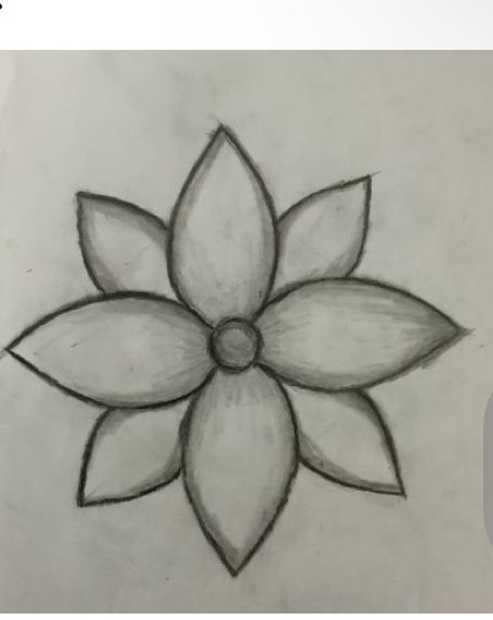 a drawing of a flower on paper with the words how to draw a flower in pencil