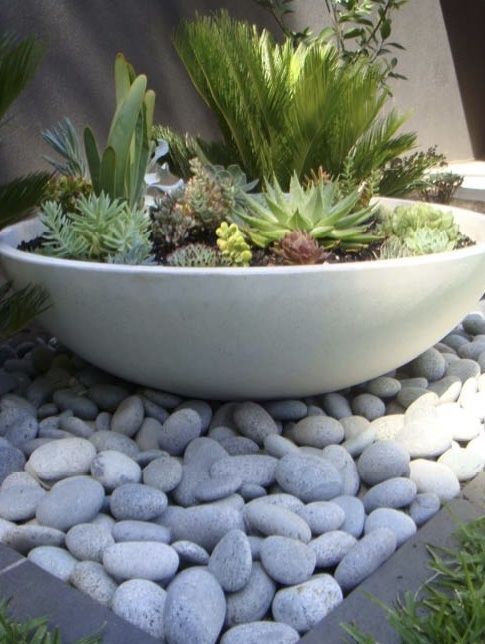 a white bowl filled with lots of succulents on top of some rocks