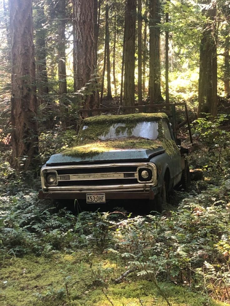 Forest Cryptid car Stanley Core Aesthetic, Cryptid Core Aesthetic Wallpaper, Cryptic Hunter Aesthetic, Small Town Cryptid Aesthetic, Jason Core Aesthetic, Creepy Farm Aesthetic, Grian Hermitcraft Aesthetic, Cryptid Hunting Aesthetic, Forest Cryptid Aesthetic