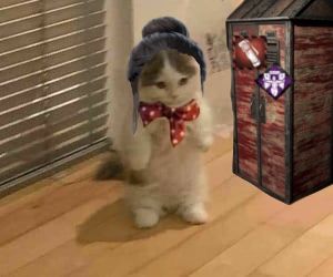 a cat wearing a bow tie standing in front of a small house with a football themed door