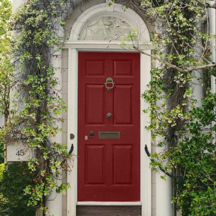 a red door with vines growing around it