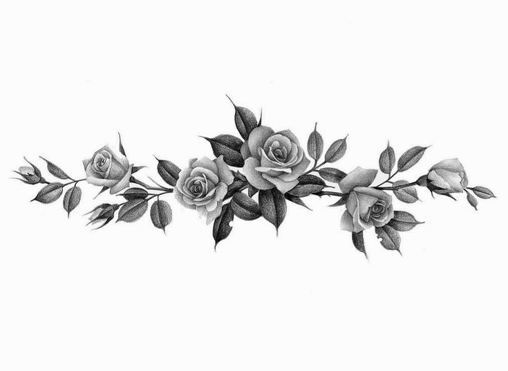 black and white drawing of roses with leaves