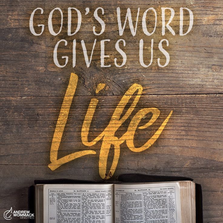 an open book with the words god's word gives us life