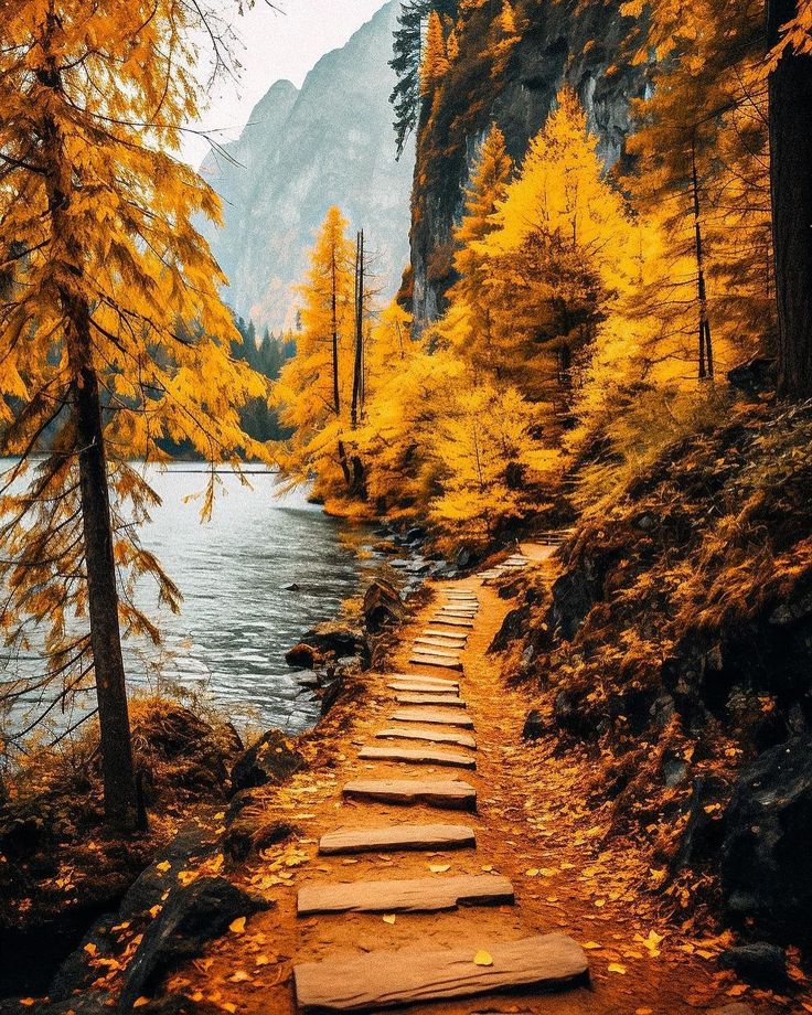 steps lead down to the water in front of some trees with yellow leaves on them