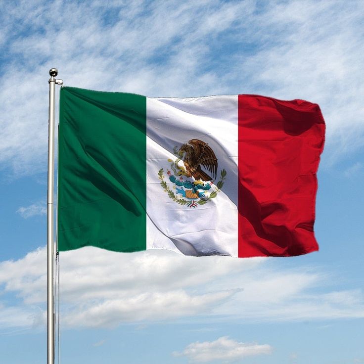 Generic Mexico National flag Flag Of Mexico, Ig Notes, Mexico Pictures, Flag Hanging, Mexican Home Decor, Mexican Flag, Mexican Flags, The Dye, Mexican Home