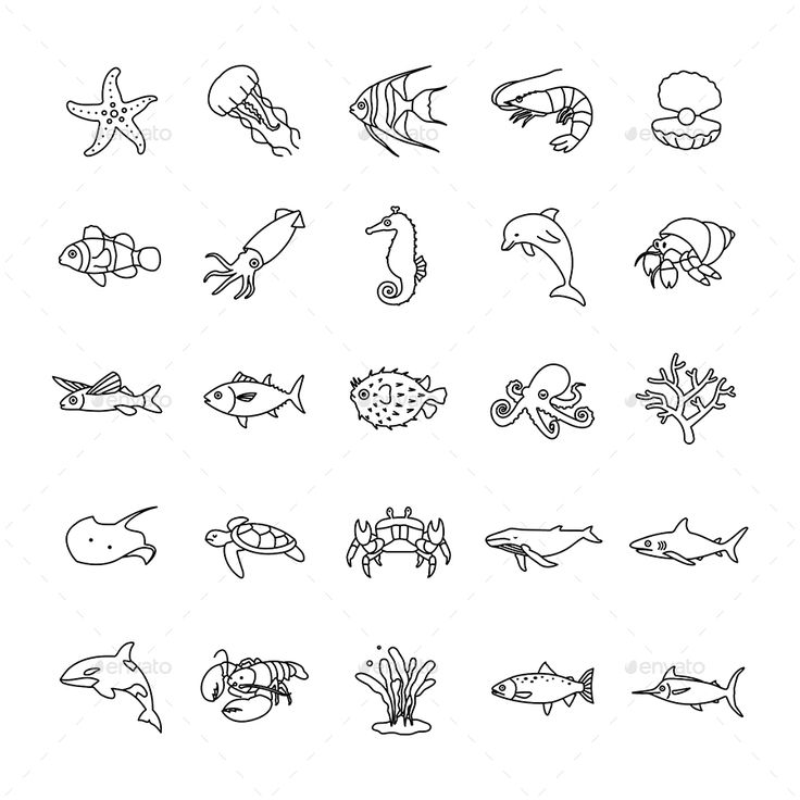 the different types of sea animals are shown in black and white