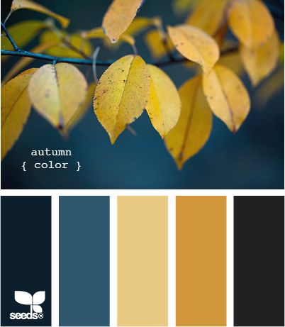 the color scheme for autumn is yellow, blue and green with some brown leaves on it