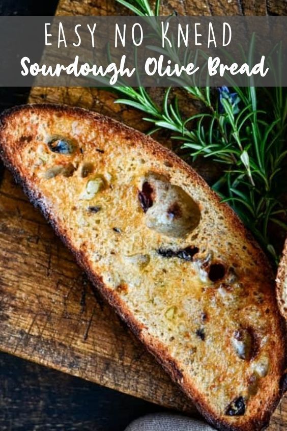 an image of bread with olives and rosemary sprigs on the side text reads easy no knead sourdough olive bread