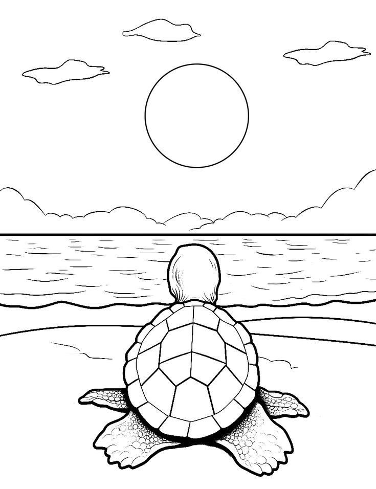 a black and white drawing of a turtle on the beach