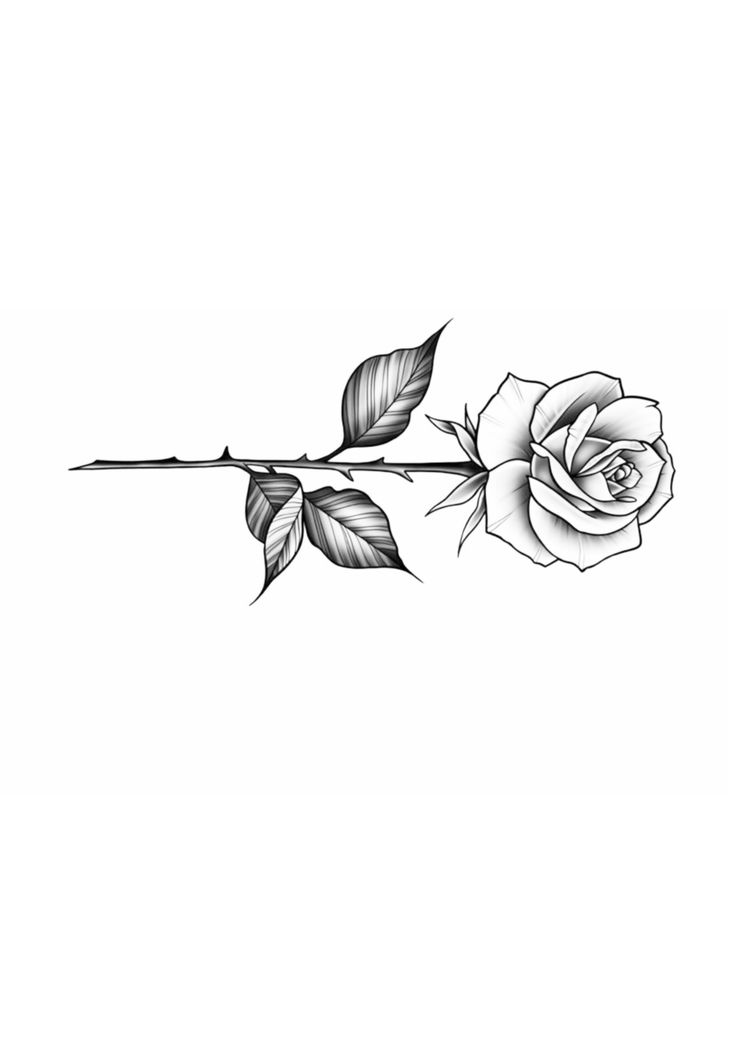 a black and white rose tattoo design