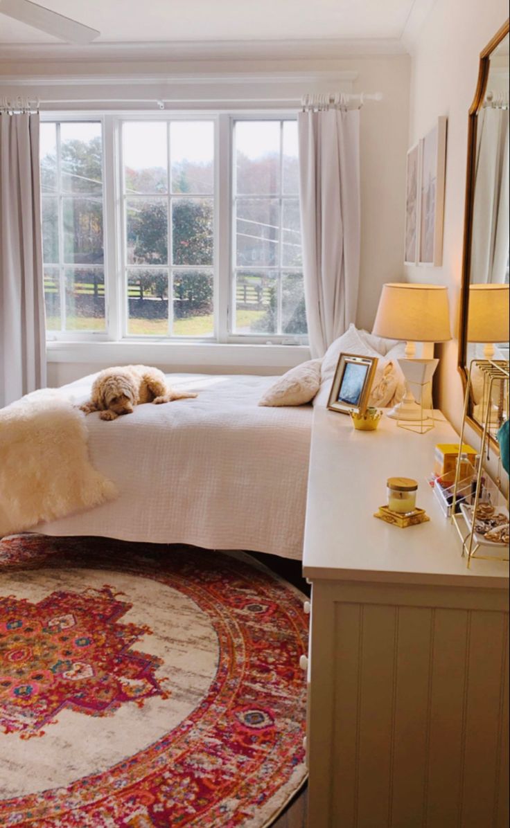 a dog laying on top of a bed next to a large rug in front of a window