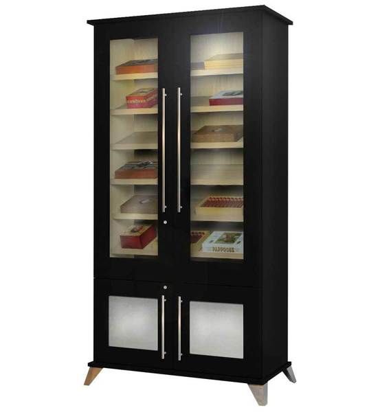 a black cabinet with two glass doors and some books on it's shelves in front of a white background