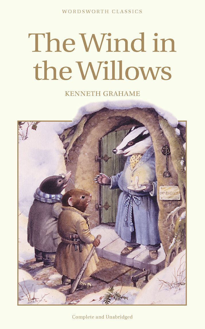 the wind in the willows book cover with an image of two children standing next to each other