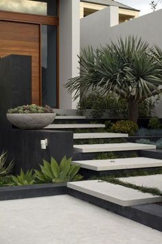 modern garden design with concrete steps leading up to the front door