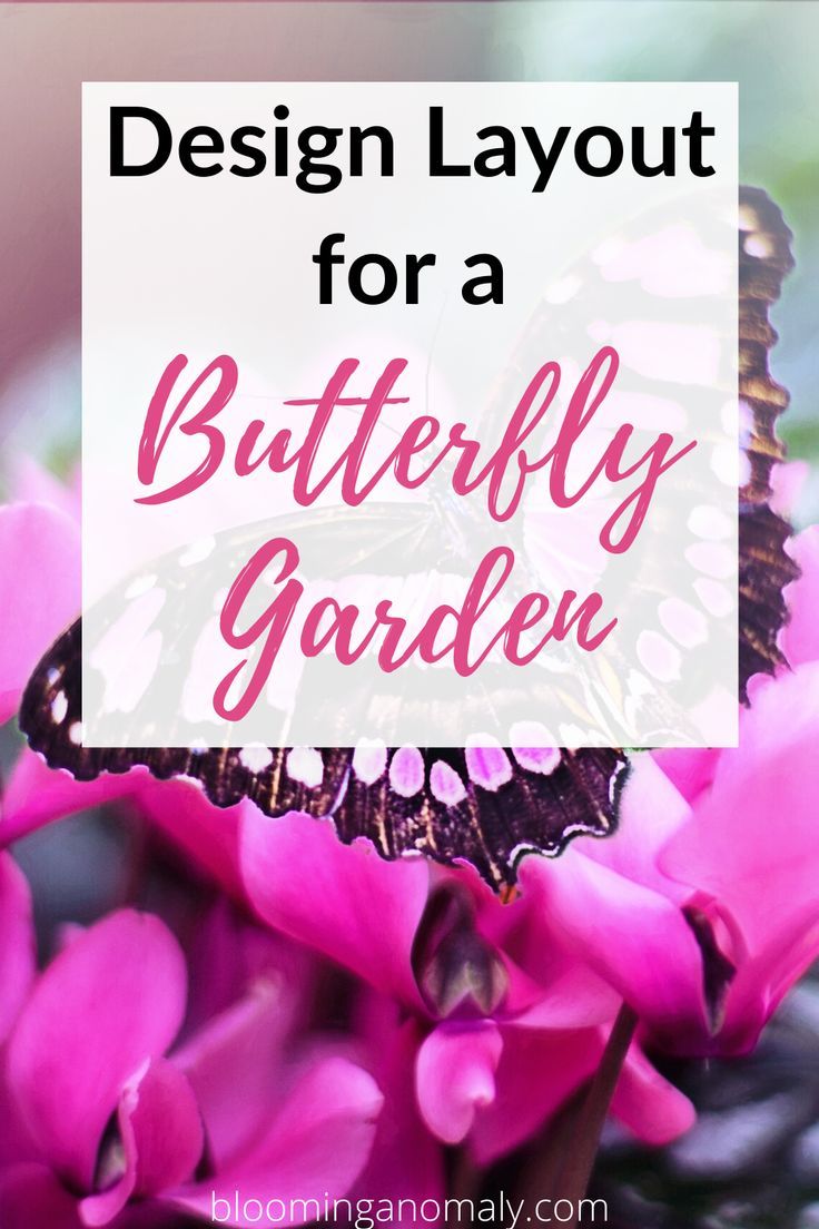 purple flowers with the words design layout for a butterfly garden