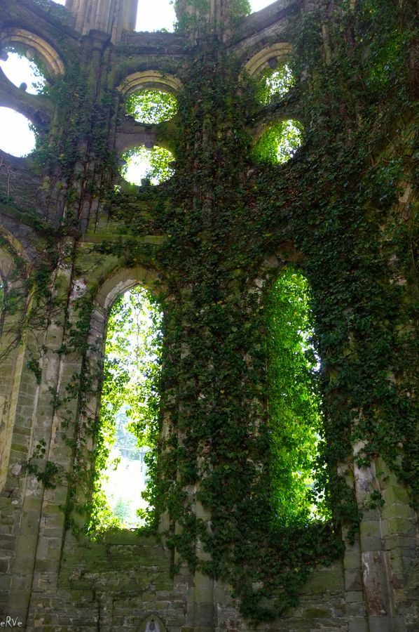 the inside of an old building with ivy growing on it