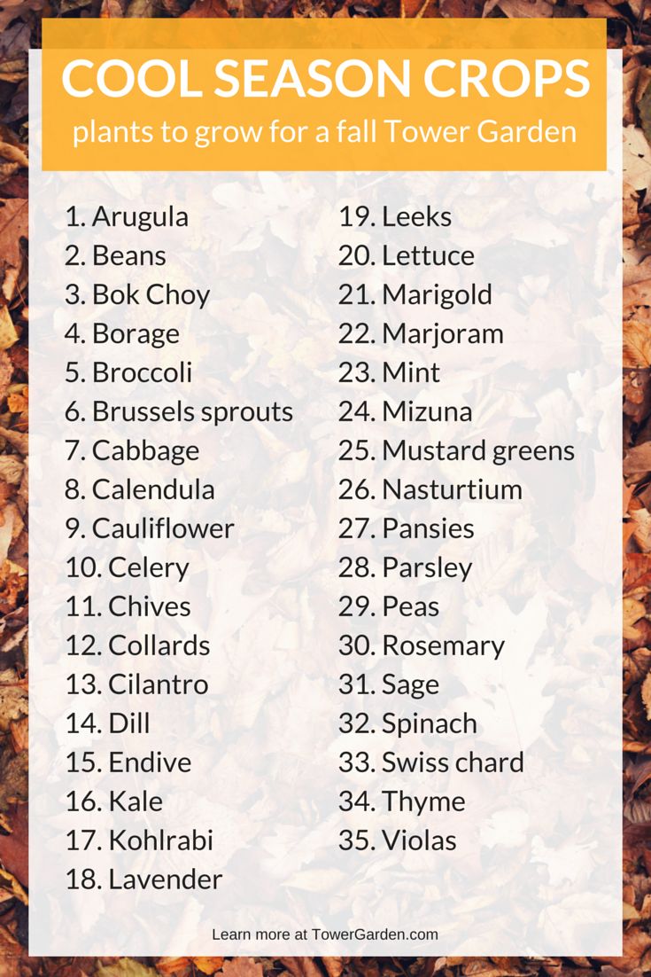 a list of fall plants with the words cool season crops written in white and orange