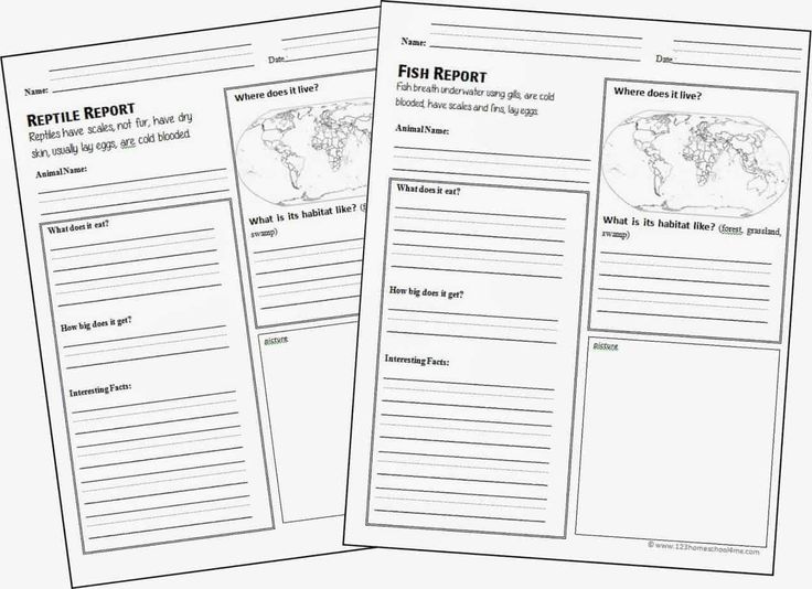 two worksheets for the earth's environment