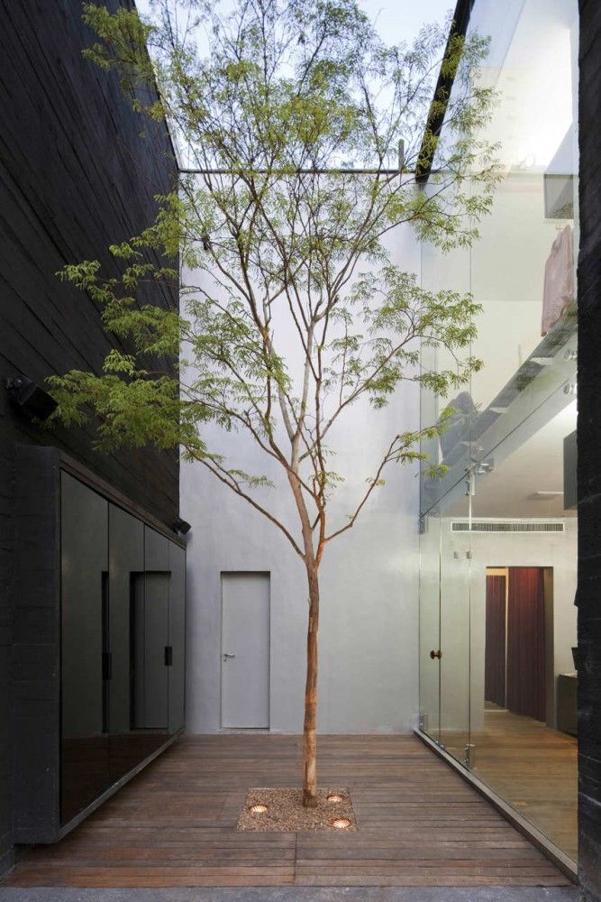 a small tree in the middle of a wooden deck next to a white building with glass walls