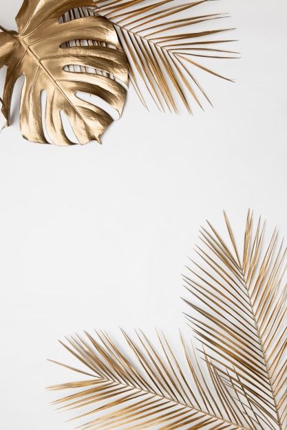 gold palm leaves against a white background