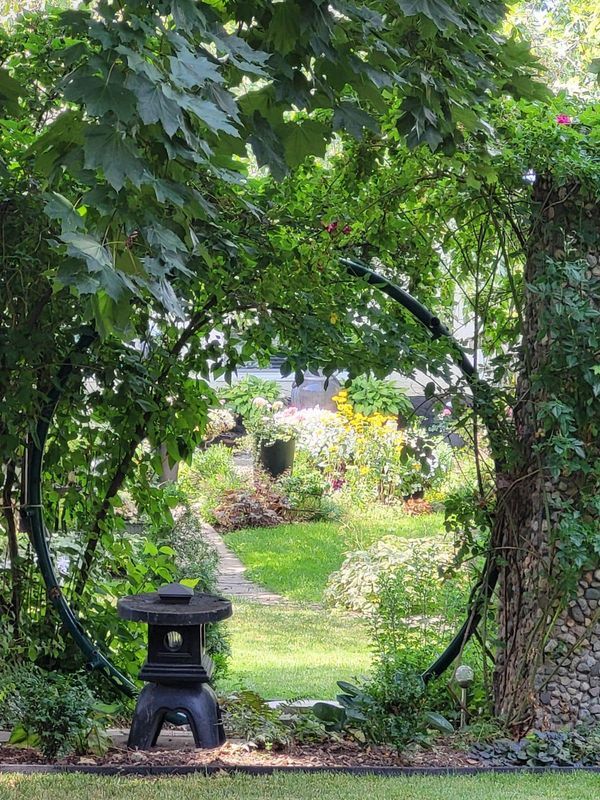 a garden with lots of green plants and trees