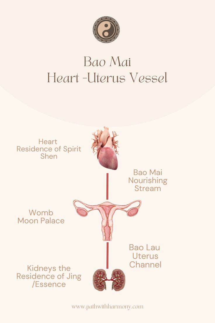 Womb Wisdom, Tcm Traditional Chinese Medicine, Menstruation Cycle, Heart Connection, Breast Massage, Breastfeeding Art, Spiritual Room, Birth Art, Womb Healing