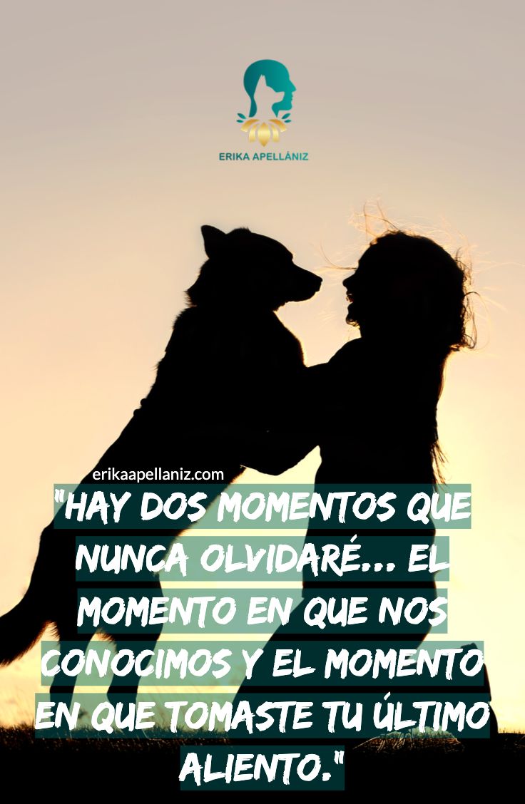 a woman and her dog are kissing in front of the sun with spanish words above them