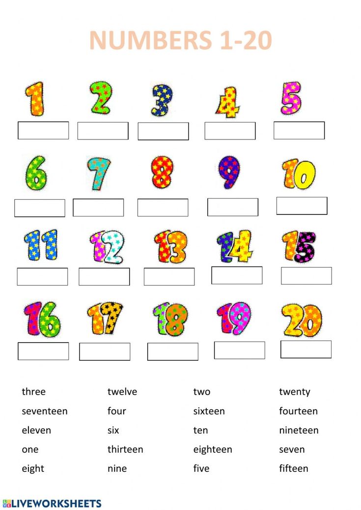 the numbers 1 - 20 worksheet for children to learn how to read them