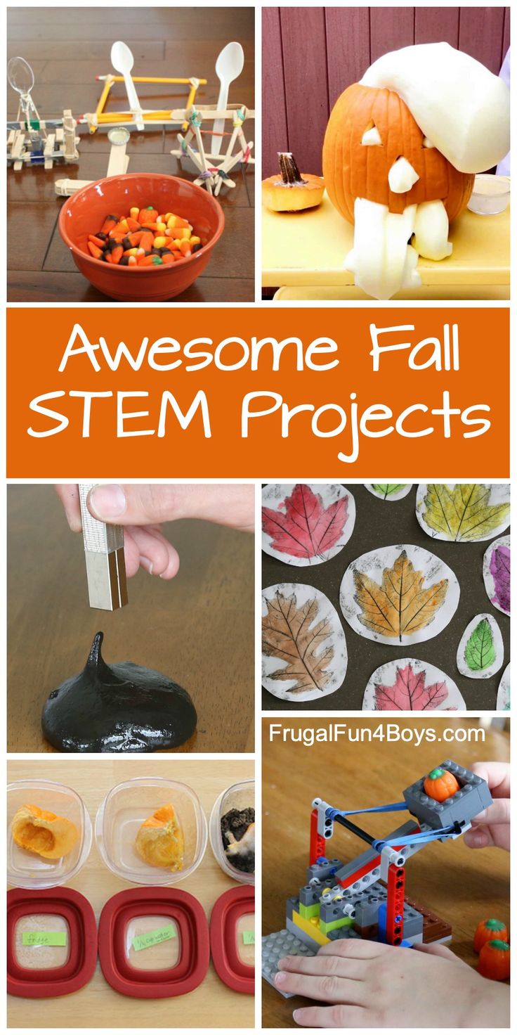 Fall STEM Activities that are Engaging and Fun! Pumpkin science, candy corn catapults, leaf art, and more. Projects For Elementary Students, Fall Stem Activities, Stem Camp, Stem Activities Preschool, Fall Science, Stem Projects For Kids, Halloween Stem, Stem Elementary, Preschool Stem