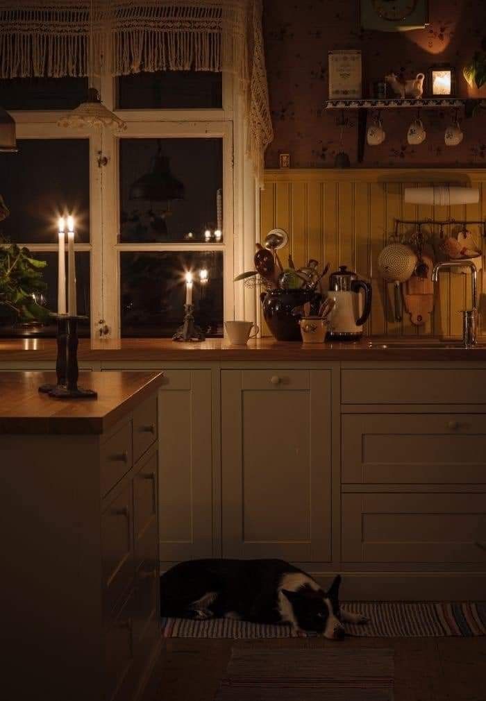 a black and white cat laying on top of a kitchen counter next to a window