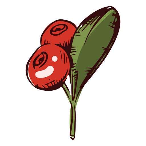 a red flower with two green leaves on it's head and one has a smiling face