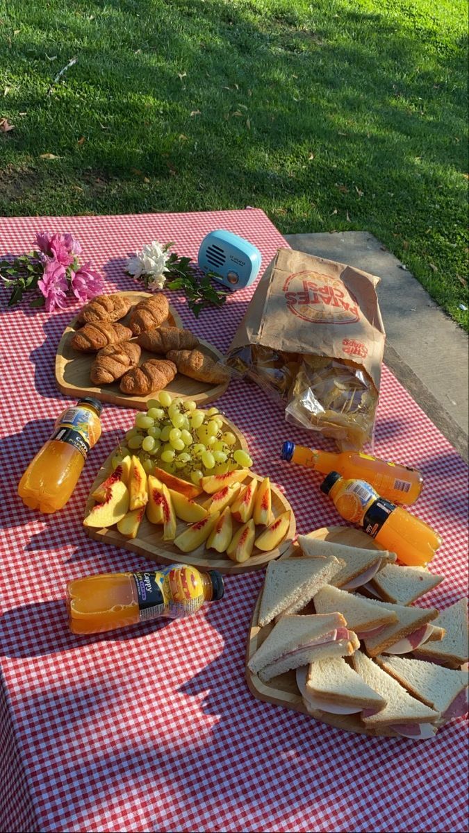 a picnic table with food and drinks on it in the grass, including grapes, cheese, crackers, apples, and bread