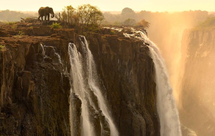 an elephant standing on the edge of a cliff next to a waterfall with water cascading down it