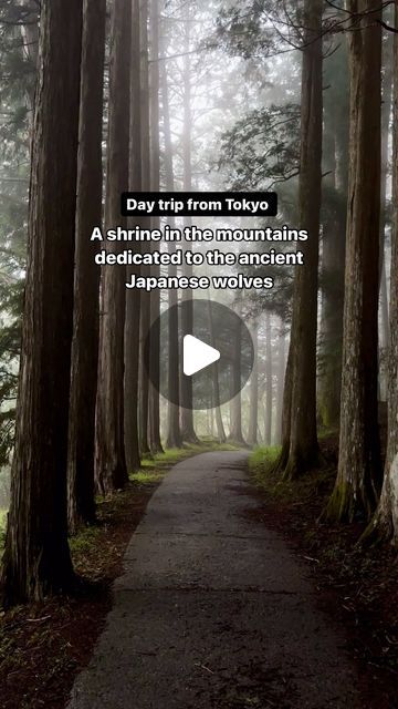 a path in the middle of a forest with trees on both sides and a quote about day trip from tokyo