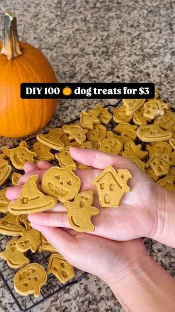 a hand is holding up some dog treats for $ 5, with a pumpkin in the background